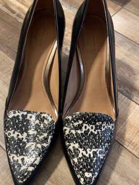 Coach Black Leather Pointed Toe Pumps with Black & White Snakeskin Toe